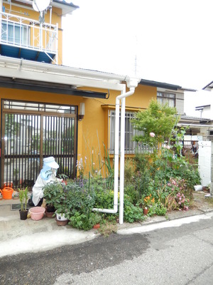 雨の季節到来(*^_^*)
