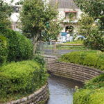 子供のころから何となく見慣れた「蔵のある風景」こうして関わってみると当たり前ではないことに気がつきました。 皆様から愛される場所になりますように・・・