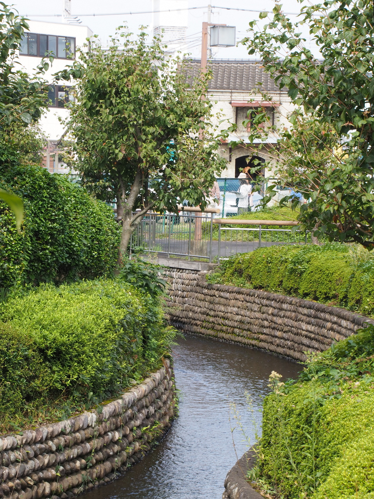 子供のころから何となく見慣れた「蔵のある風景」こうして関わってみると当たり前ではないことに気がつきました。 皆様から愛される場所になりますように・・・