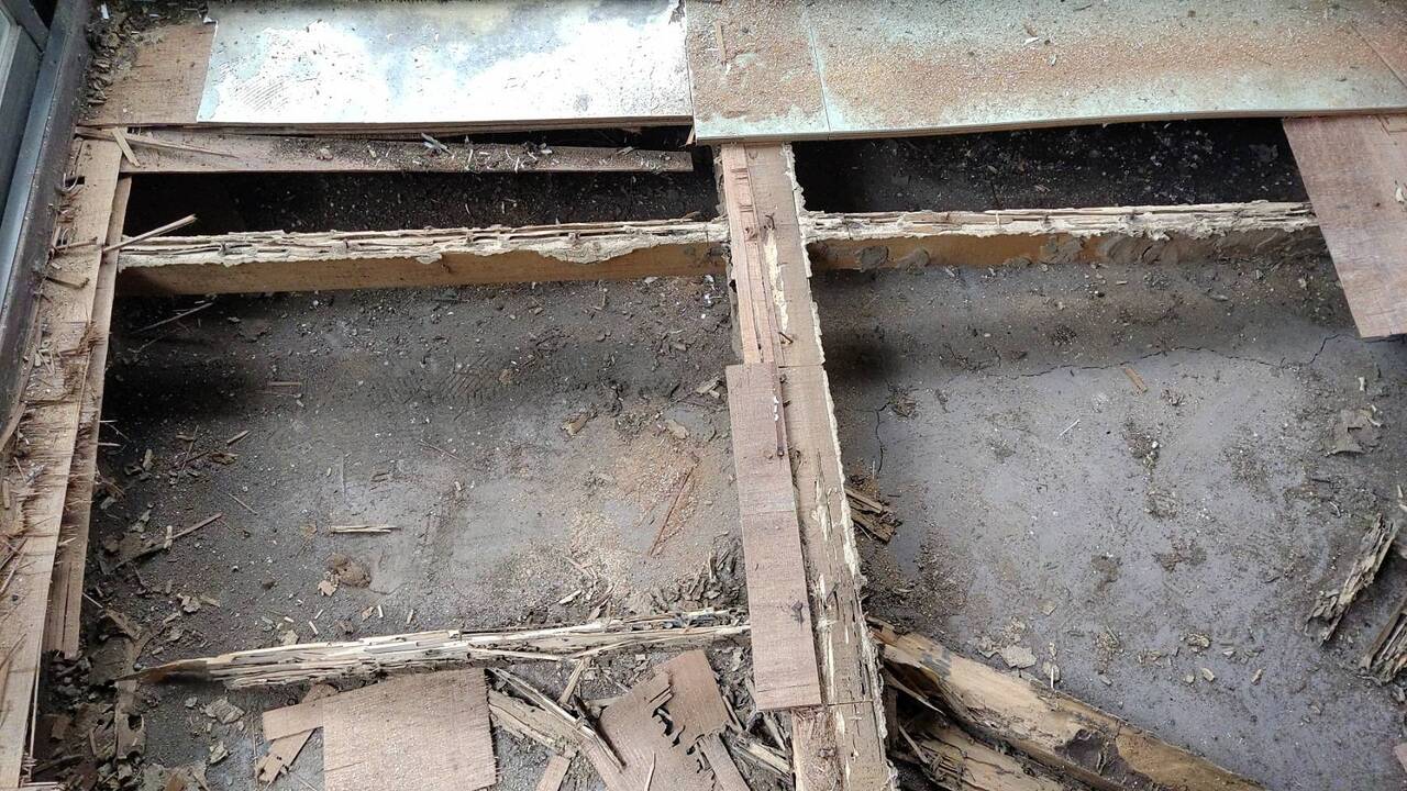 今回のご依頼は、長年空き家になっていたご実家を貸家物件にするためのリフォームでした。 湿気の多いところは、かなりシロアリに浸食されています。