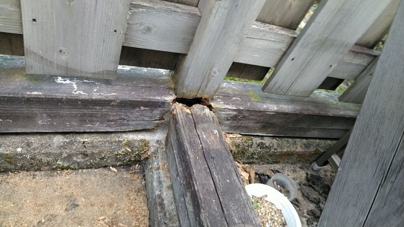 before
何か所か土台が腐って柱が浮いている状態に。
強風で倒れてしまわないうちに交換しましょう！